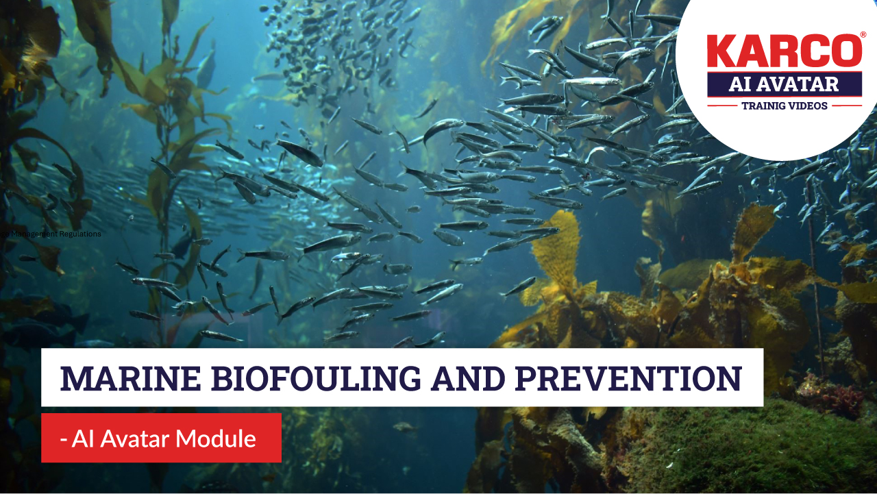 Marine Biofouling And Prevention